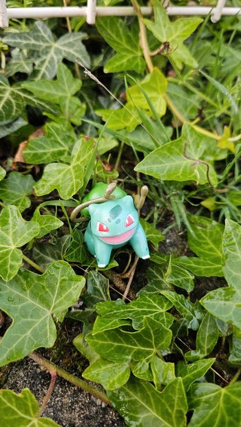 Super figurine Pokemon Nintendo Bulbizarre