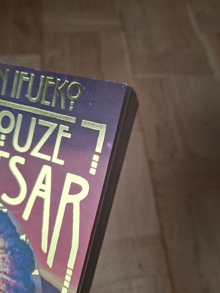Les douze d’aritsar - photo numéro 6