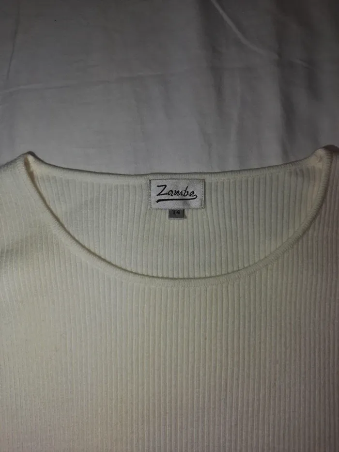 Pull léger zamba - photo numéro 4