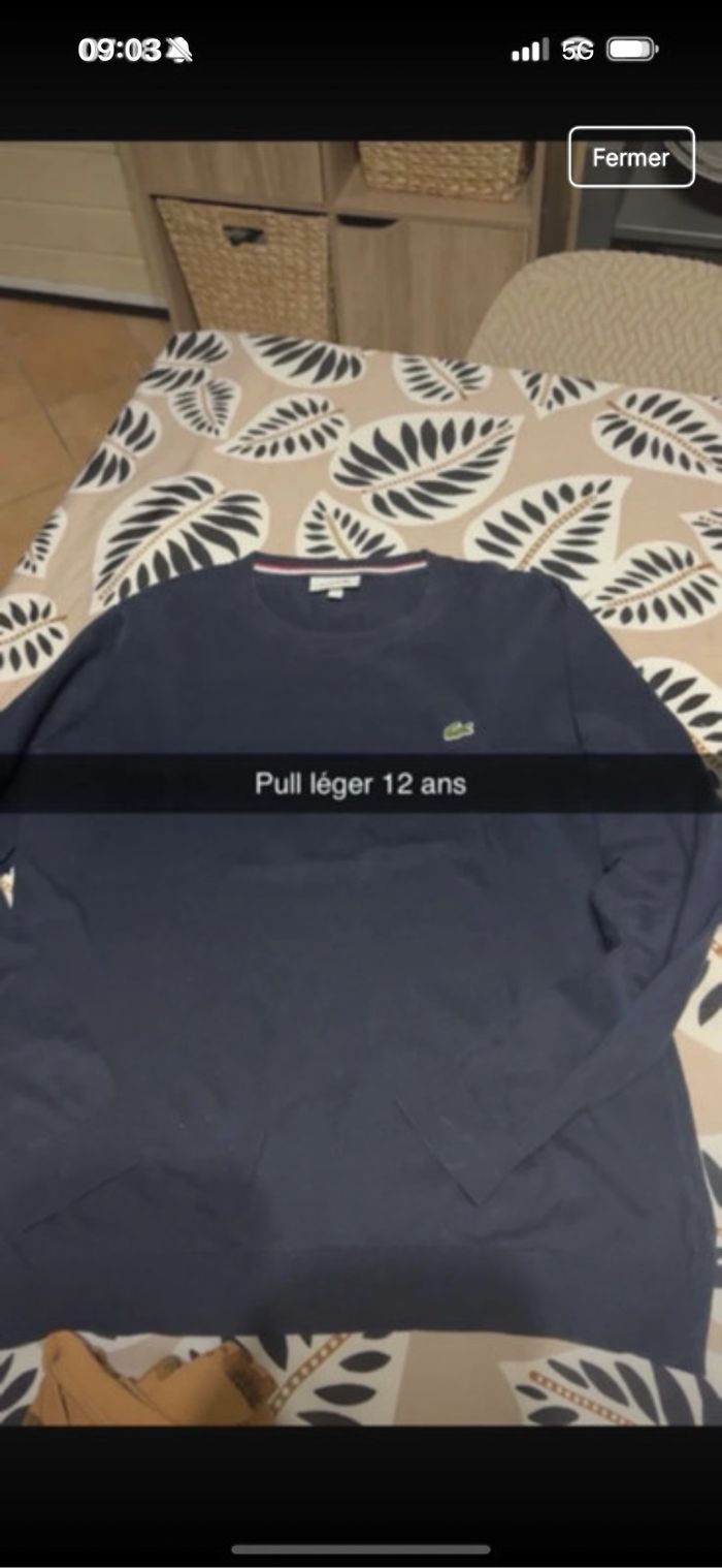 Pull Lacoste