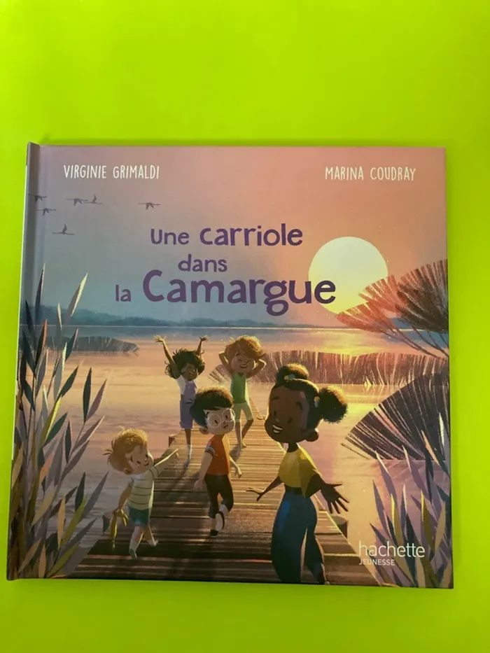 Livre McDo : une carriole dans la Camargue