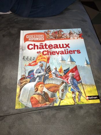 Châteaux et Chevaliers