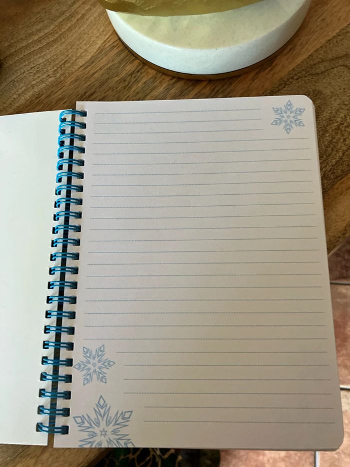 Disneyland cahier livre la reine des neiges - photo numéro 3