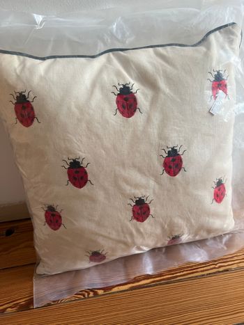 Coussin carré décoratif beige liseré noir avec coccinelles brodées