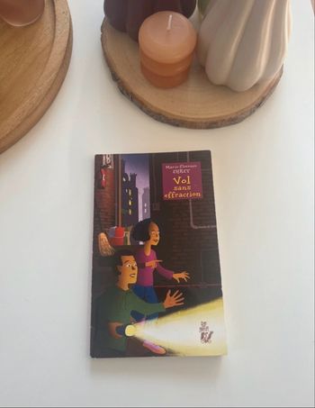 Vol sans effraction de Marie-Florence Ehret