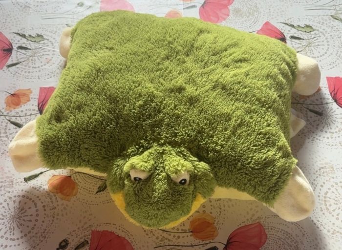 Peluche coussin
