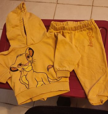 Ensemble le roi lion