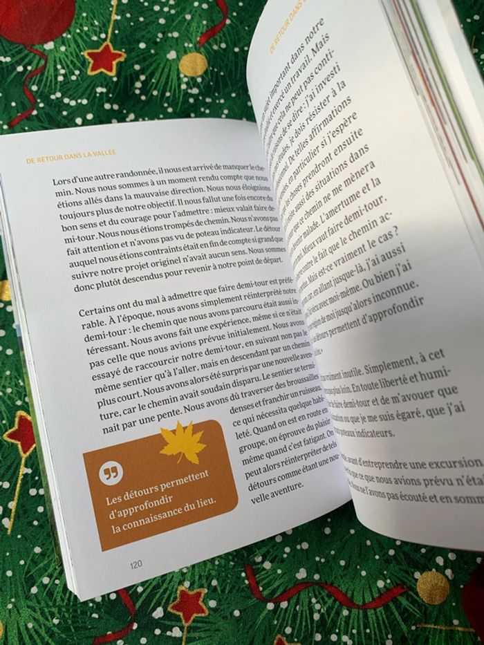 Par monts et par vaux - photo numéro 12