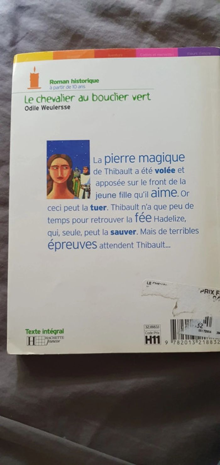 Livre le chevalier au bouclier vert - photo numéro 2