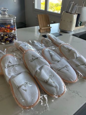Lot de 10 chaussons Hôtel Disneyland 