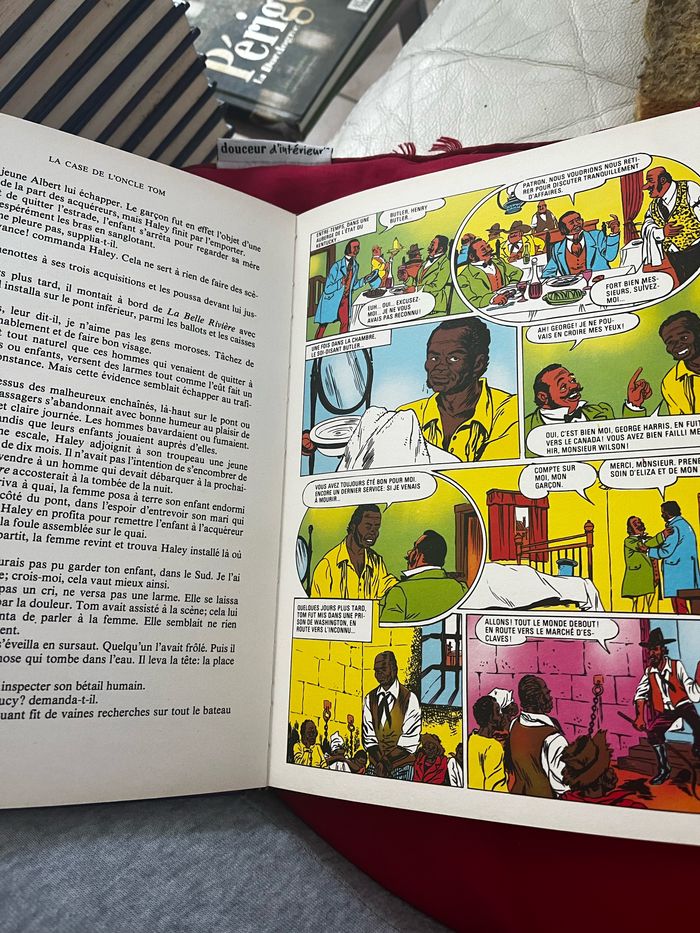 La case de l’oncle Tom - photo numéro 3