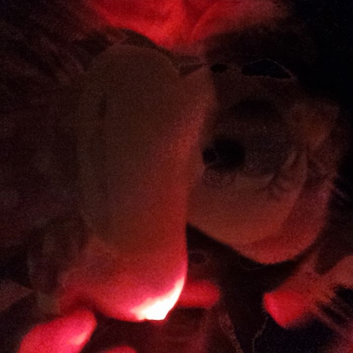 MINNIE géante - photo numéro 7