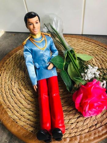 Prince disney barbie