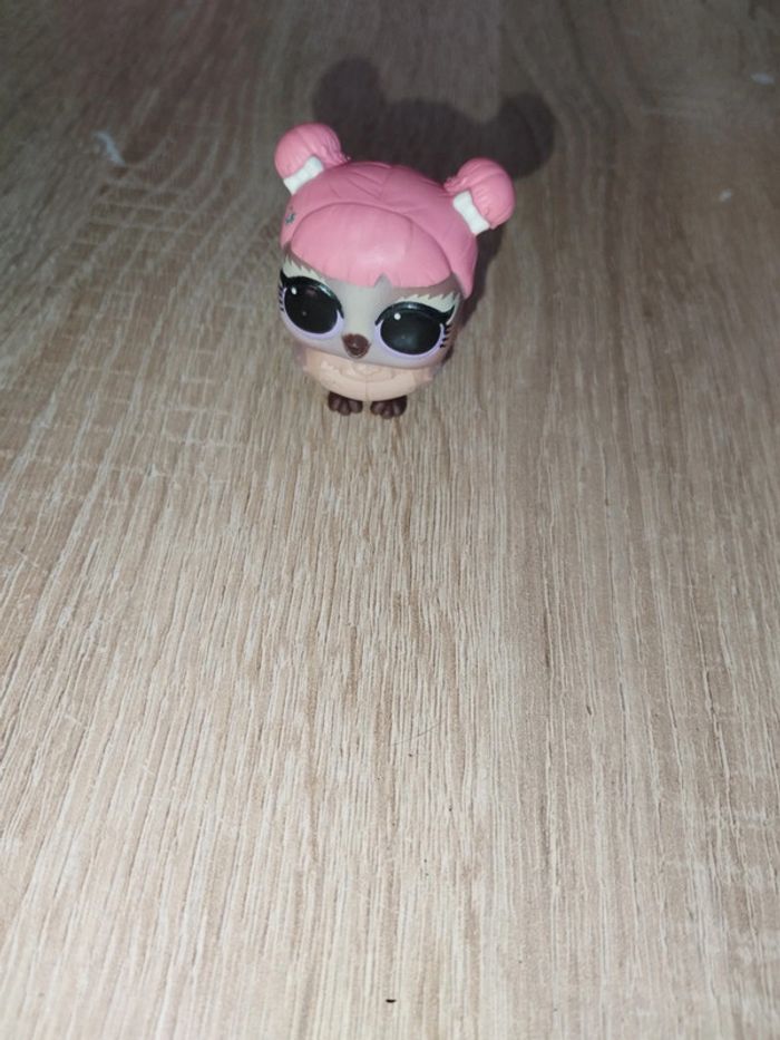 Hibou lol surprise