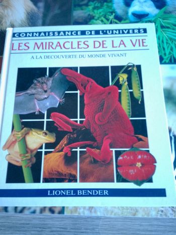 Les miracles de la vie