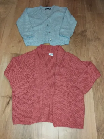 Lot 2 gilets 4ans