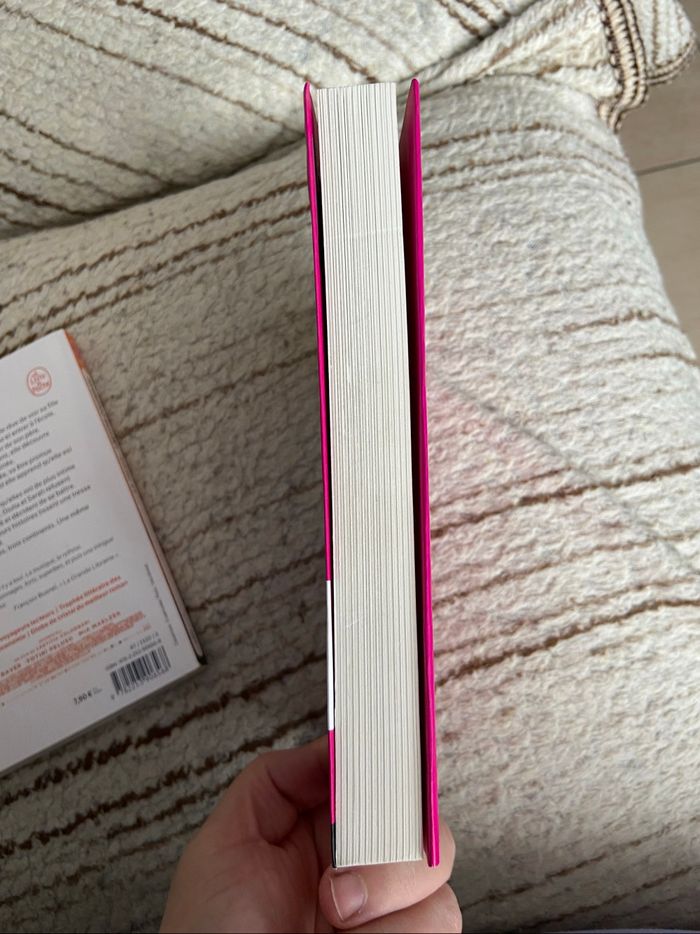 Livre la tresse et la victorieuse - photo numéro 3
