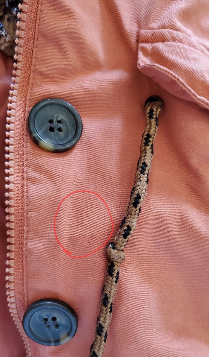 Manteau - photo numéro 4
