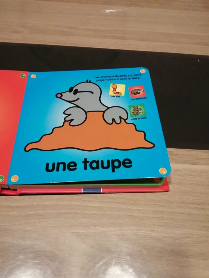 Le premier dictionnaire de bébé - photo numéro 3
