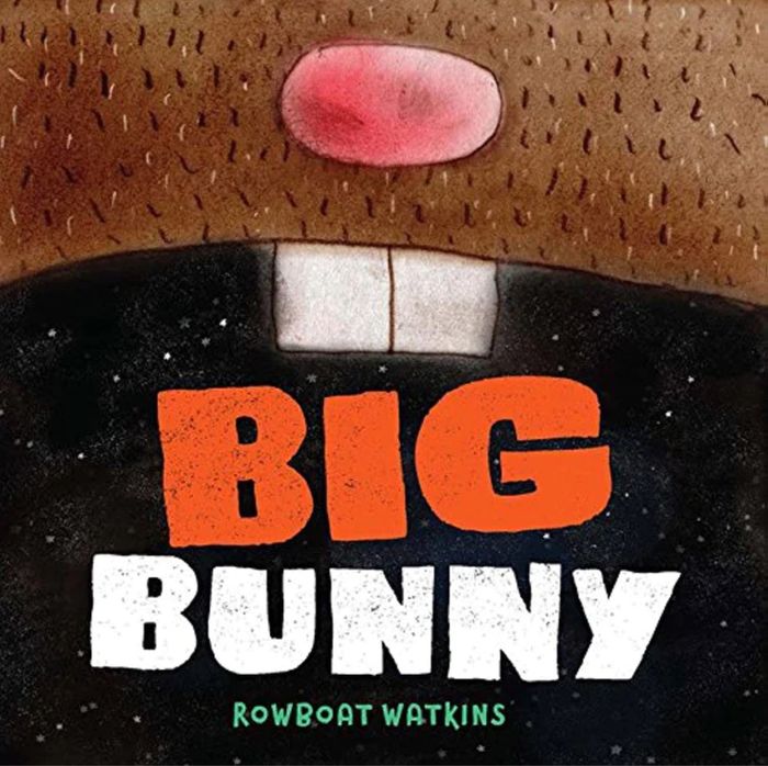Livre Enfant en Francais - Big Bunny - photo numéro 3