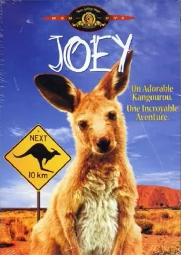 dvd Joey