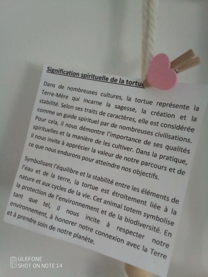 Collier tortue nacrée et pierre de lune naturelle - photo numéro 2
