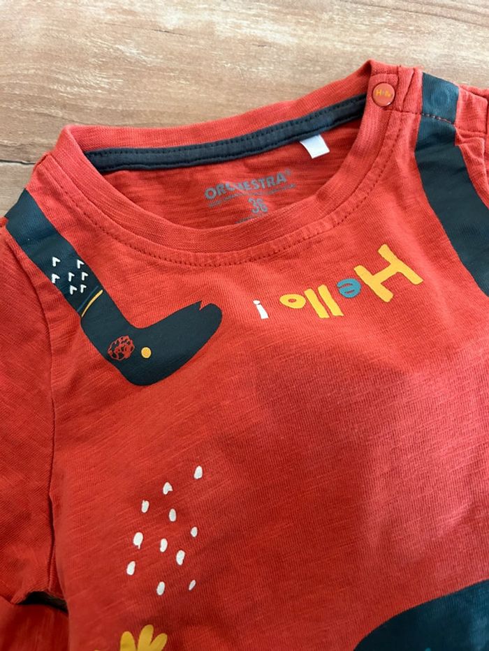 Ensemble Orchestra - photo numéro 2