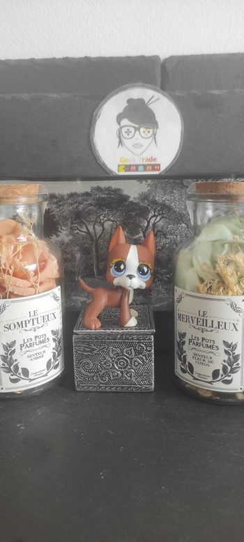 Littlest Petshop Pet Shop LPS Authentic  Authentique dog Great Dane 589 Danois