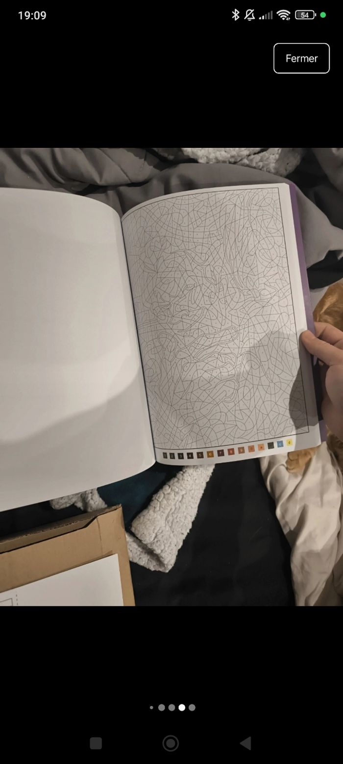 Livre de coloriage mystère la belle et la bête - photo numéro 3