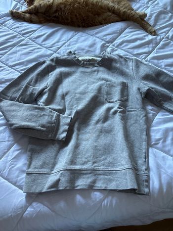 Pull col rond