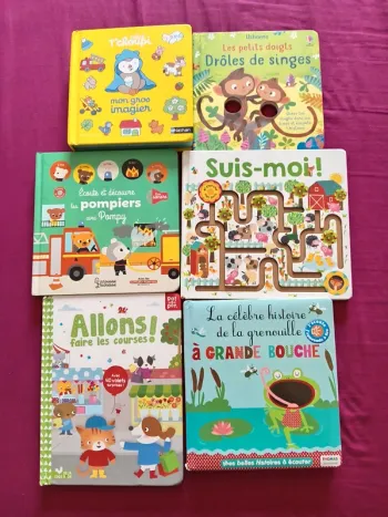 Lot de divers livres