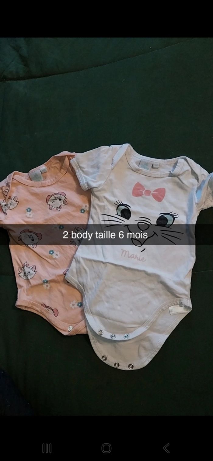 Lot 3 bodies
