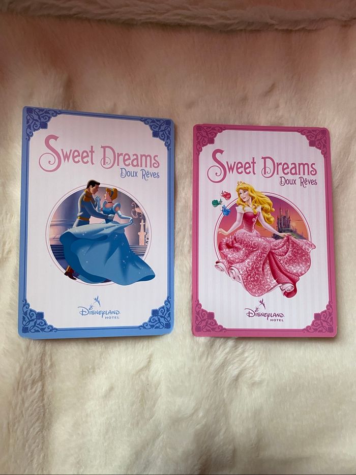 Lot de 2 cartes disneyland hôtel