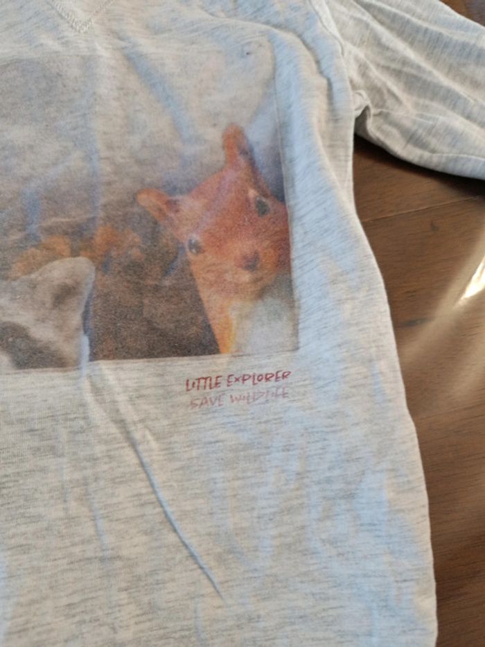 Tee shirt garçon 2 ans - photo numéro 2