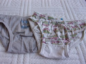 lot de 2 slips taille 2/3 ans