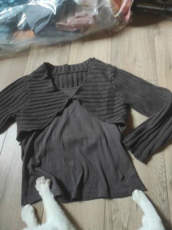 Pull taille 38