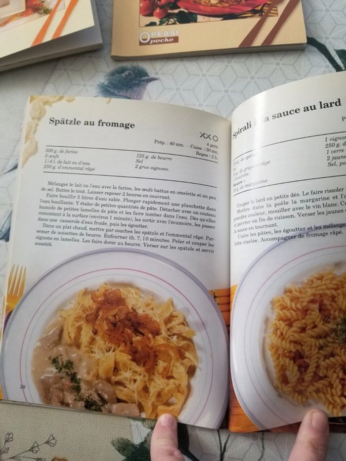 Livres de poche 80 recettes thème varier. - photo numéro 7