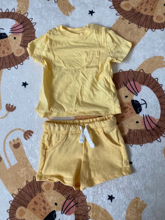Lot 2 ensemble