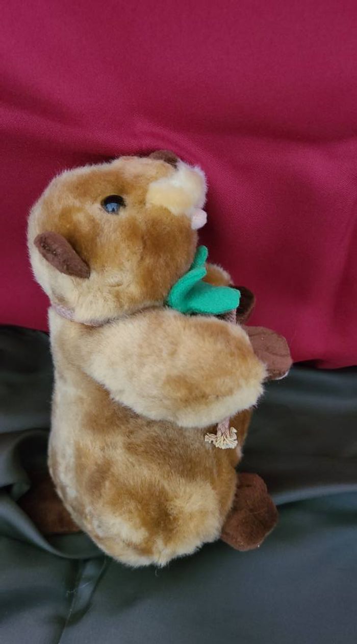 peluche castor marmotte fantasy toys