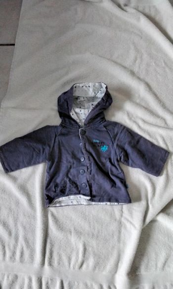 Veste mi saison,  boutons,  gris foncé bleu,  Looney Tunes, 9 mois