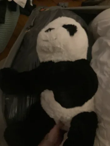 Peluche panda