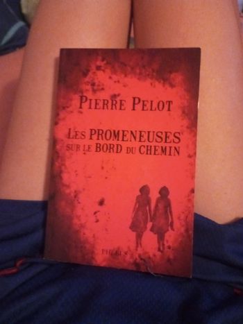 Les promeneurs sur le bord du chemin