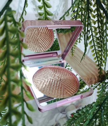 Highlighter XXPosure