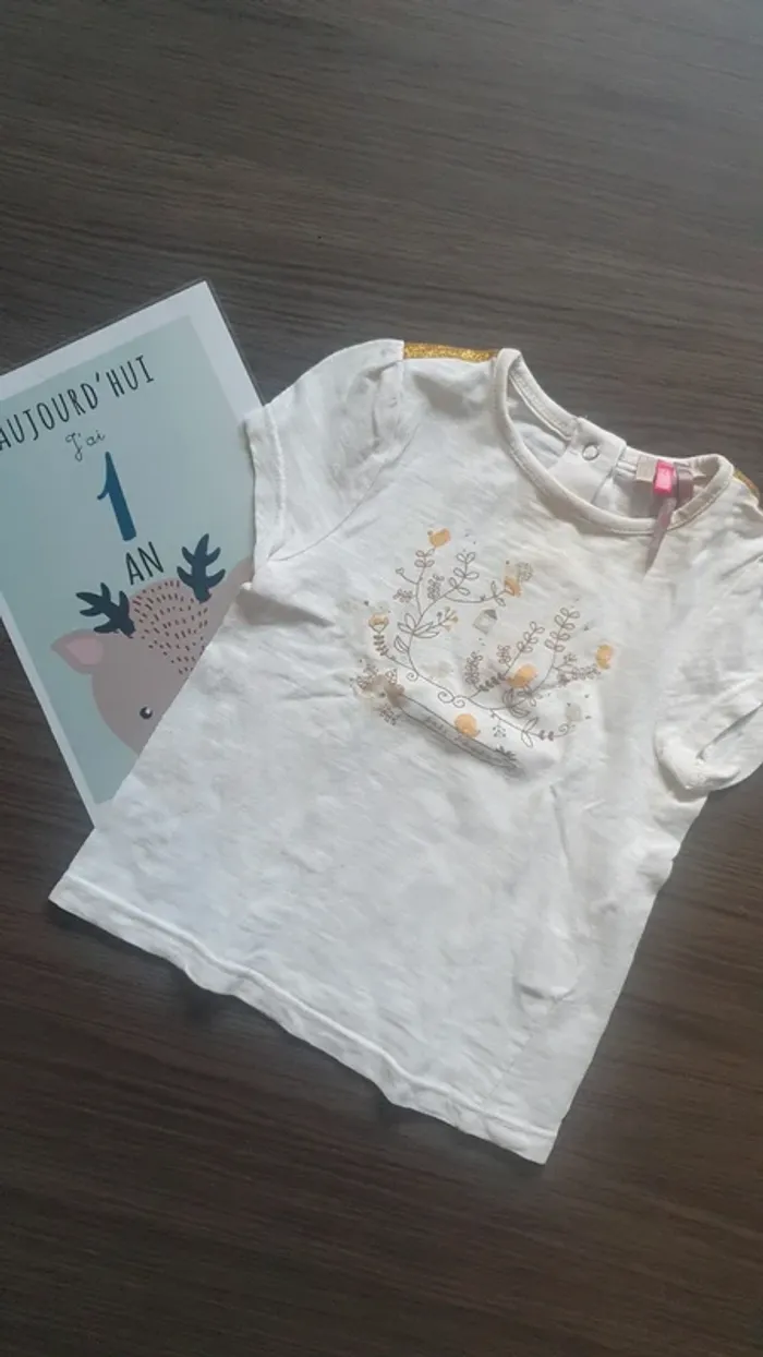 Lot 12 mois manche courte fille bodie Tee-shirt - photo numéro 10