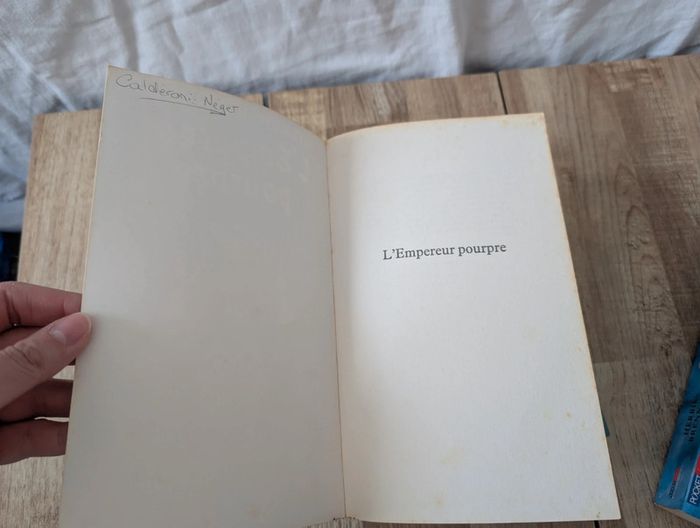 Lot livres : Saga La guerre des fées - photo numéro 6