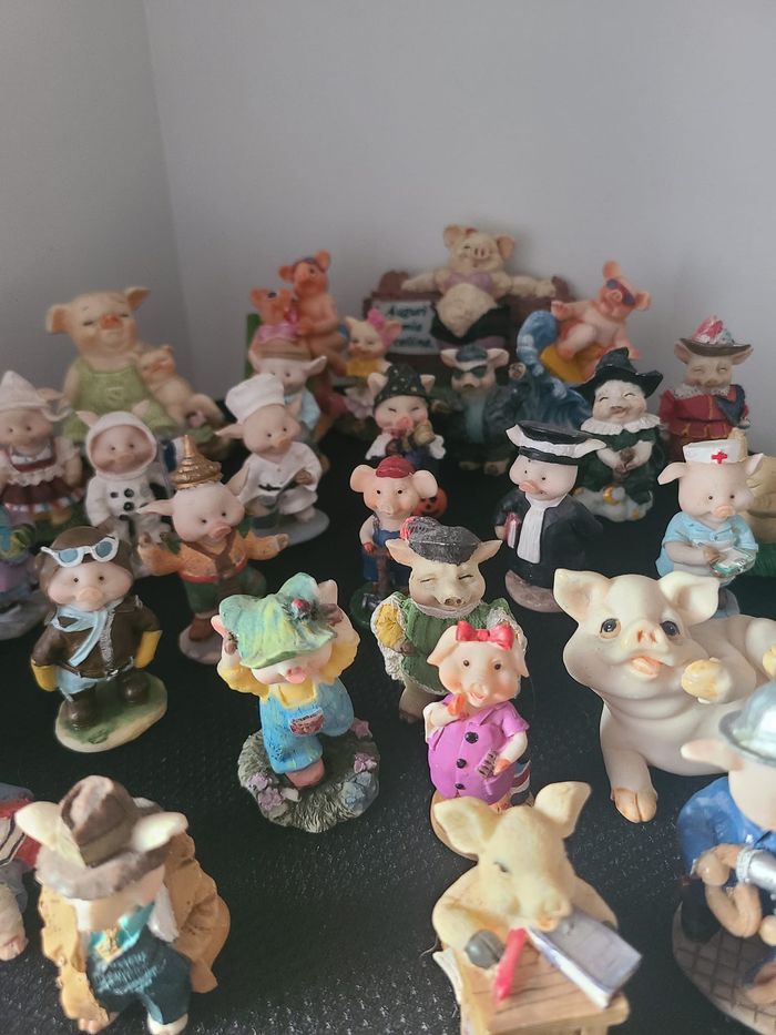 petits cochons - photo numéro 7