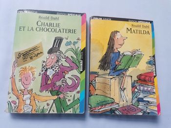Roald Dahl, lot de 2 livres Folio Junior