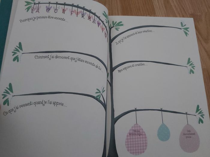 Livre de grossesse et naissance neuf - photo numéro 4