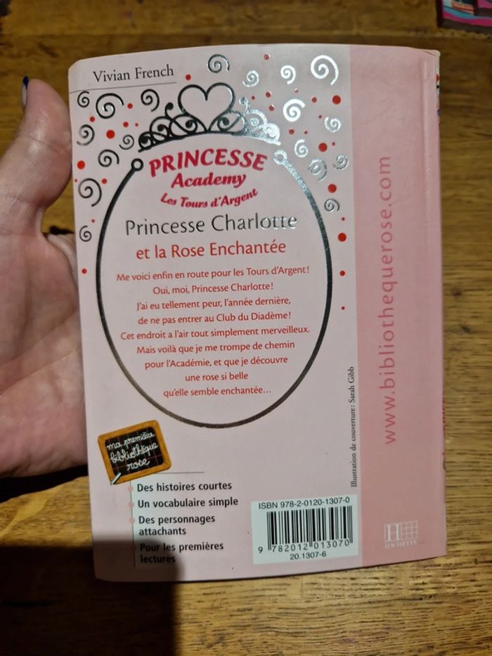 Princesse Academy les tours d'argent - photo numéro 2