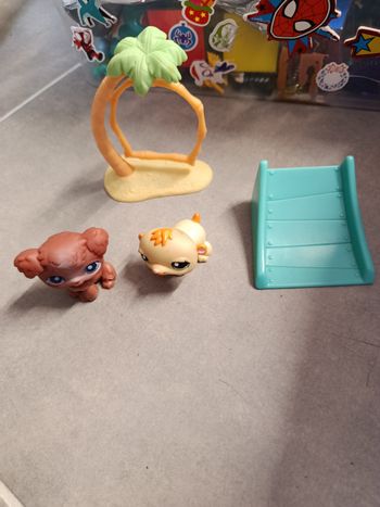Lots petshop plage